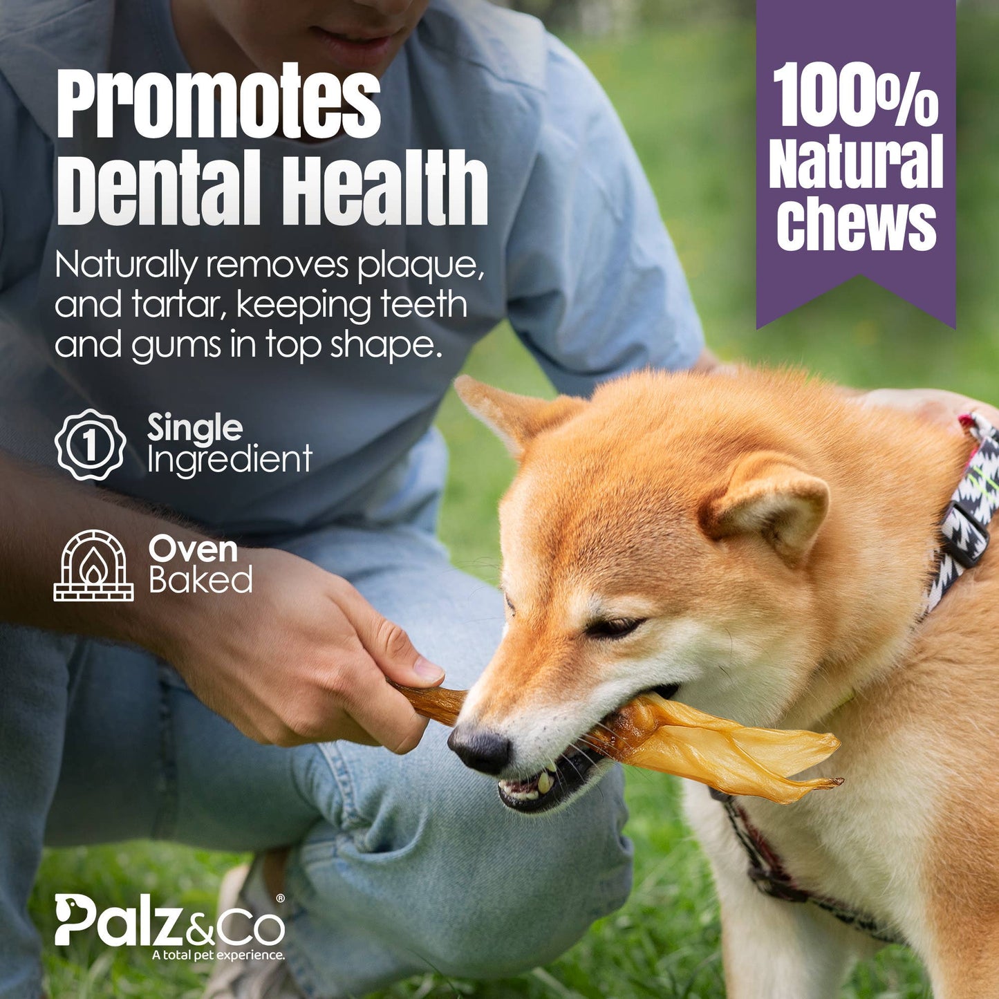 Rabbitdog Rabbit Ear Dog Chew Treats, 15 Pack