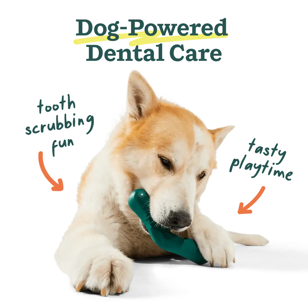 WOOF Bite n' Brush Small