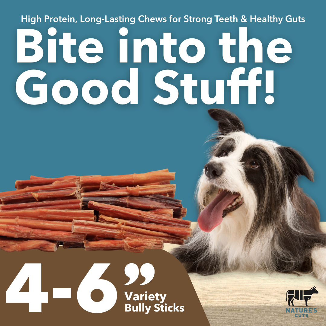 4-6" Variety Bully Sticks