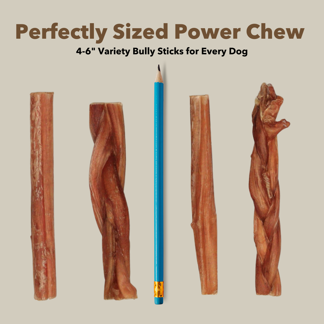 4-6" Variety Bully Sticks