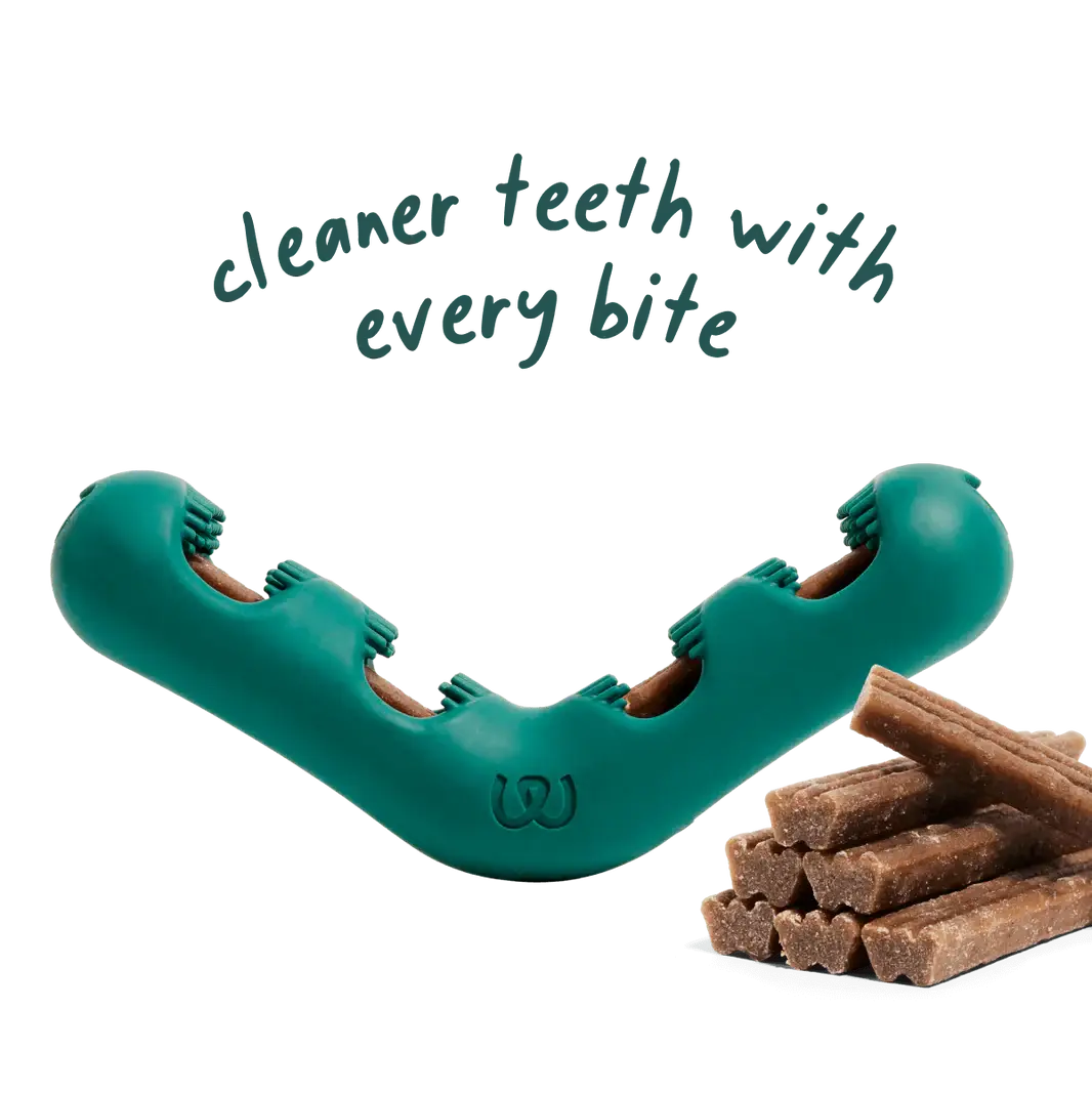 WOOF Bite n' Brush Small