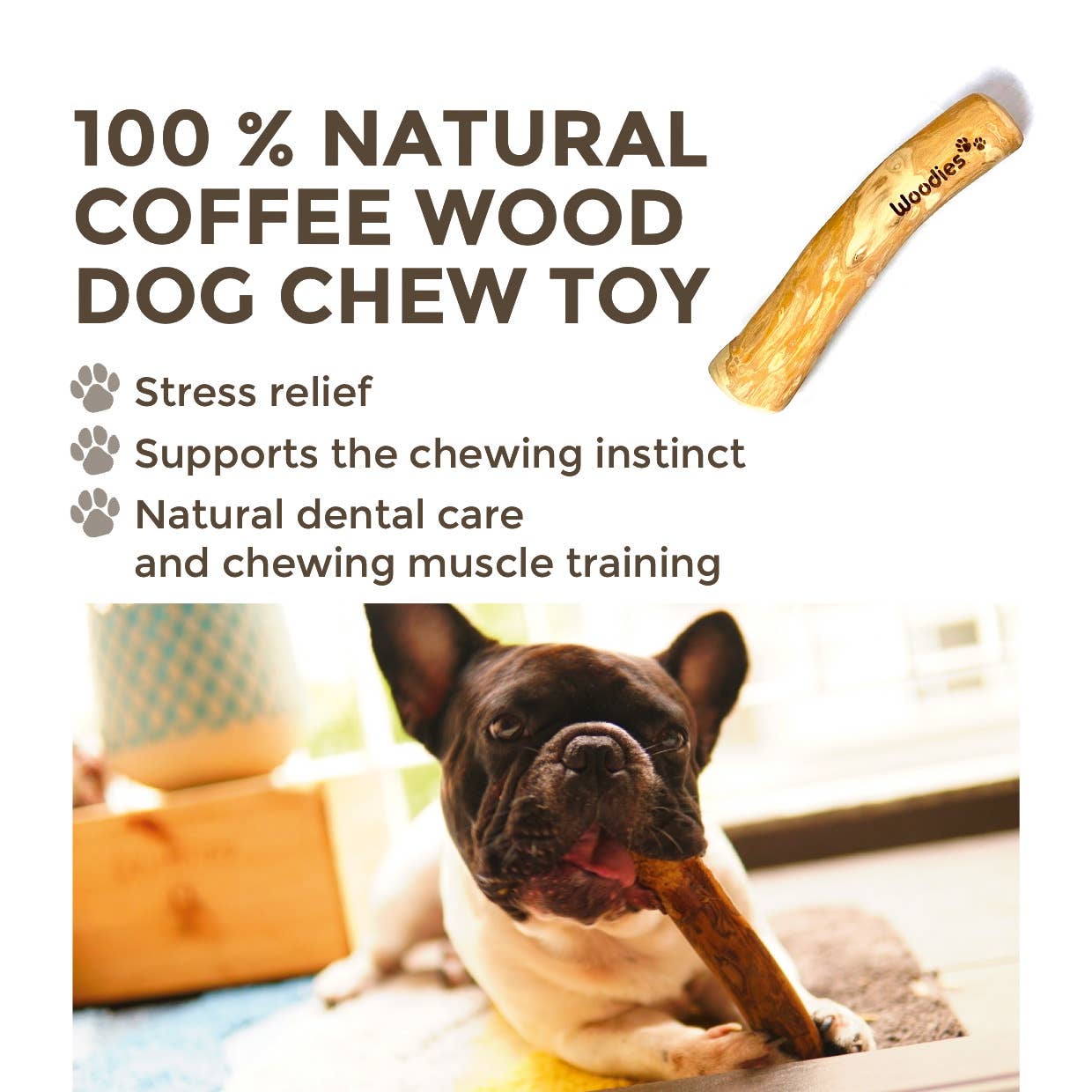 Dog chewing on a wooden chew toy with text about its benefits