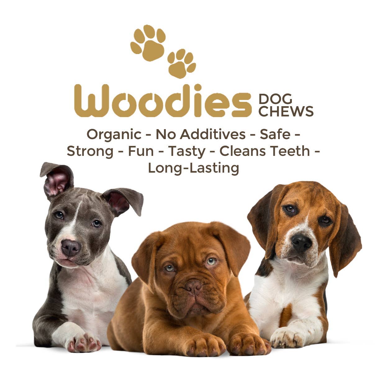 Three puppies with Woodies Dog Chews branding and product features listed.