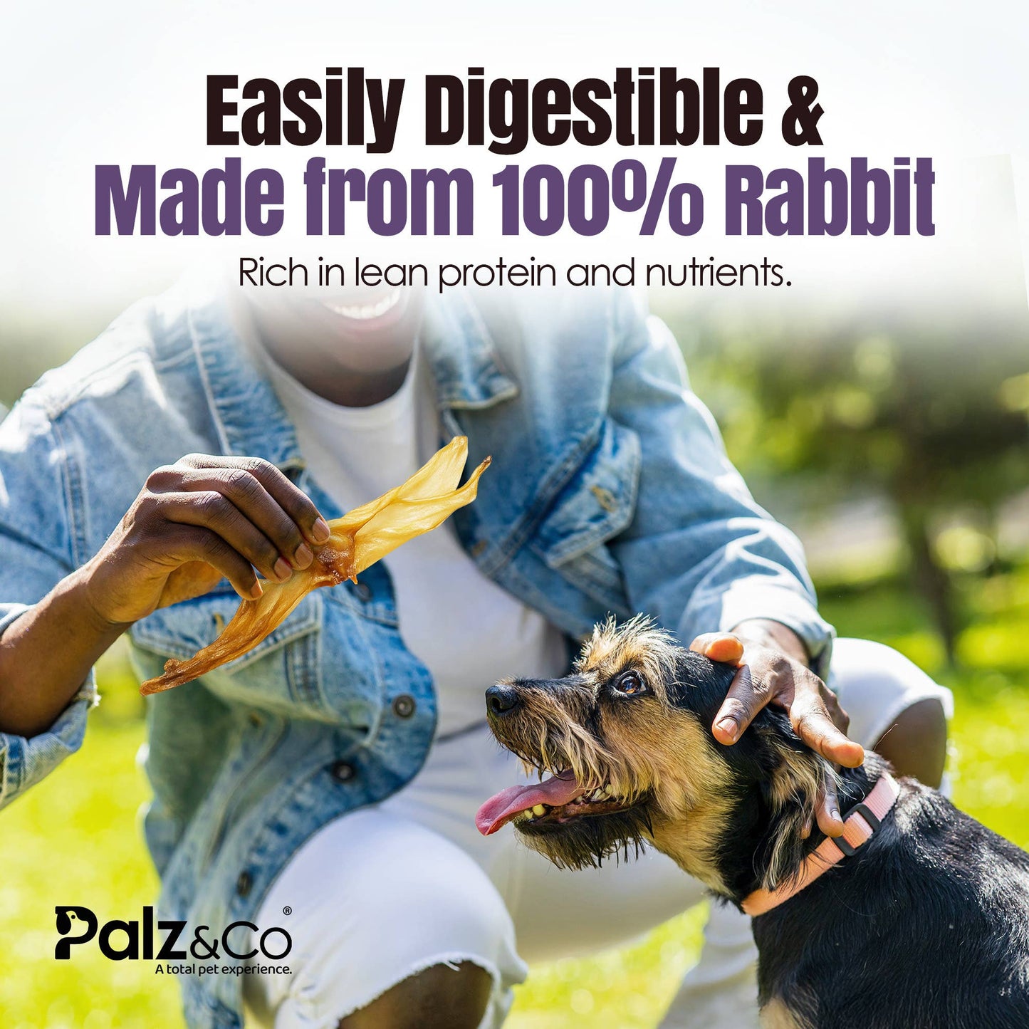 Rabbitdog Rabbit Ear Dog Chew Treats, 15 Pack