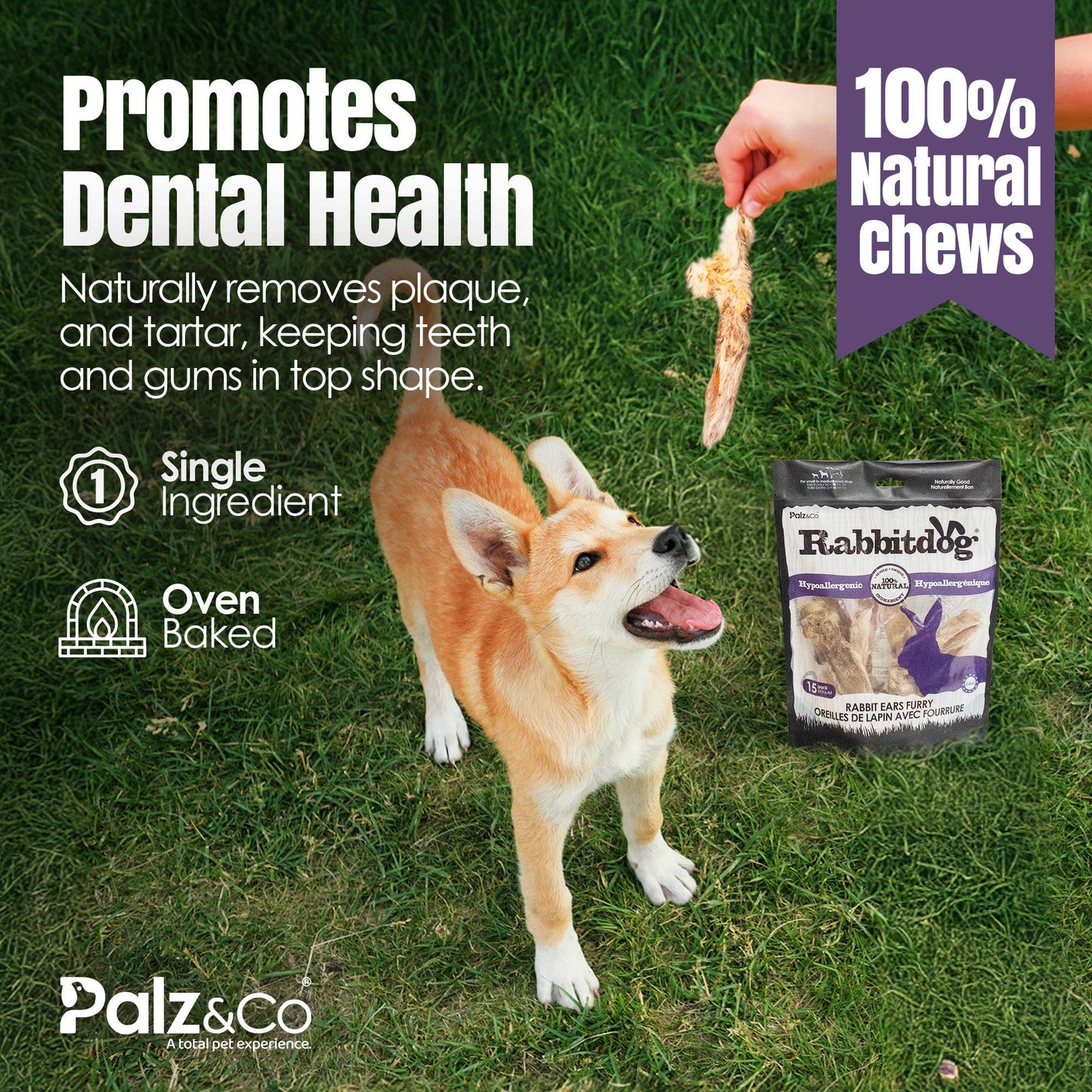 Rabbitdog Rabbit Ear Dog Chew Treats, 15 Pack