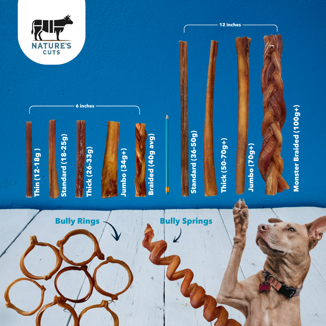 4-6" Variety Bully Sticks